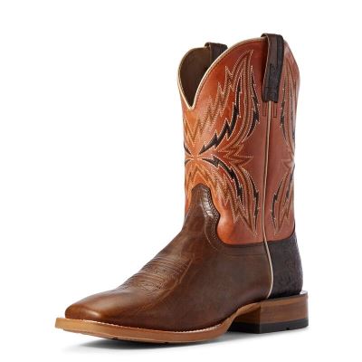 Buty Kowbojki Męskie Ariat Arena Rebound Brązowe | PL-312239