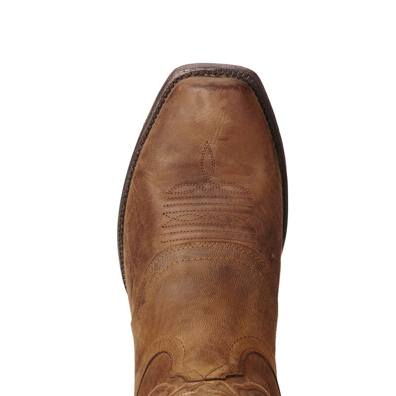 Buty Kowbojki Męskie Ariat Circuit Striker Brązowe | PL-866373