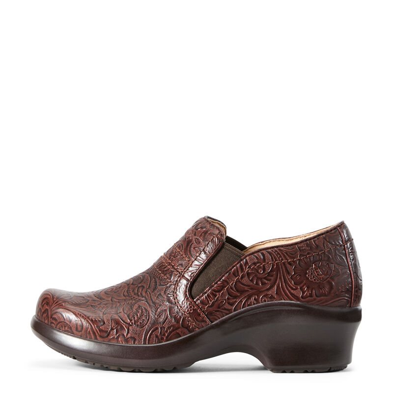 Chodaki Damskie Ariat Expert Clogs SD Brązowe | PL-563202