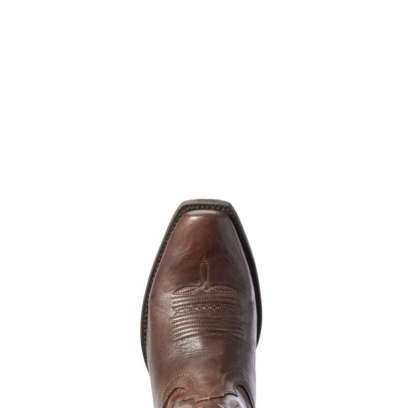 Buty Kowbojki Damskie Ariat Circuit Salem Brązowe | PL-661881