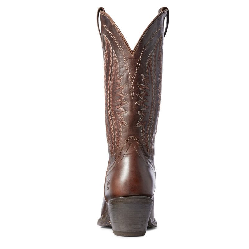 Buty Kowbojki Damskie Ariat Circuit Salem Brązowe | PL-661881