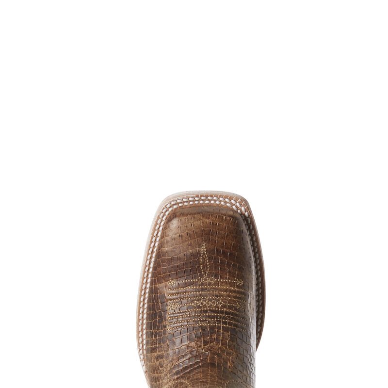 Buty Kowbojki Damskie Ariat Circuit Savanna Brązowe Białe | PL-432749