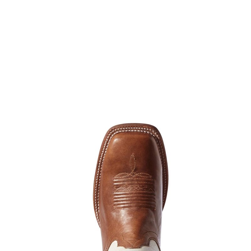 Buty Kowbojki Damskie Ariat Circuit Shiloh Brązowe Białe | PL-389014