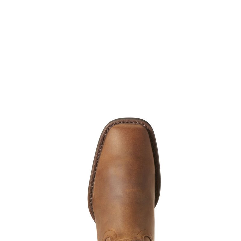 Buty Kowbojki Damskie Ariat Roper Szerokie Square Metalowym Brązowe | PL-618250