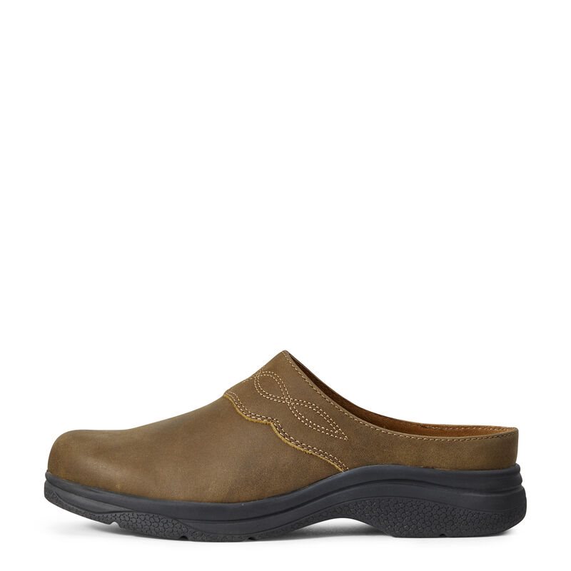 Mules Buty Damskie Ariat Bridgeport Mule Oliwkowe | PL-759717